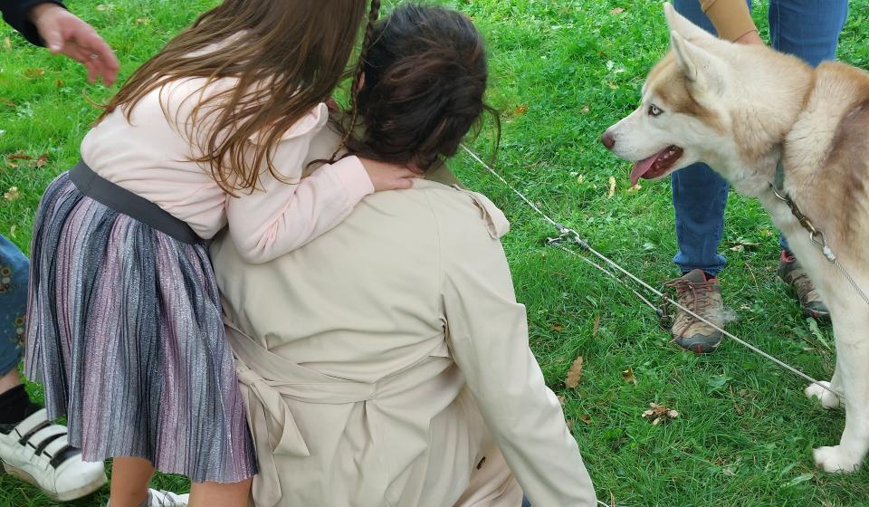 cani2